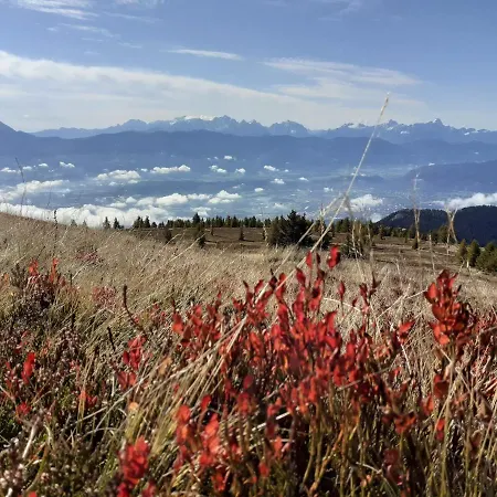 Apartmán Fischer Mit Privatstrand *