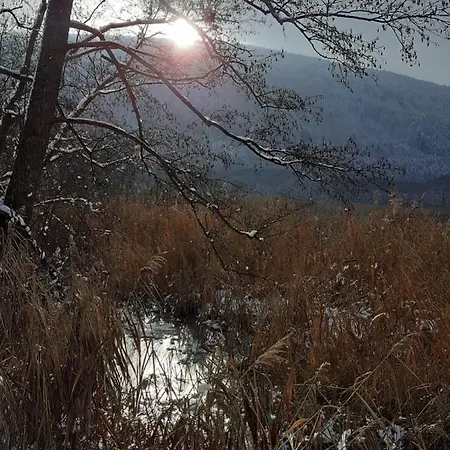Fischer Mit Privatstrand Steindorf am Ossiacher See